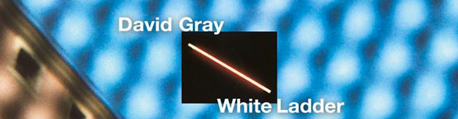 David Gray